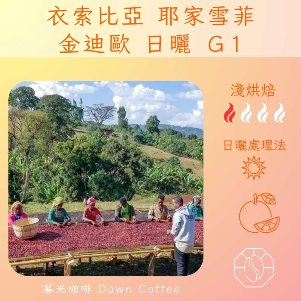 伊索比亞 耶家雪菲 金迪歐 日曬 G1