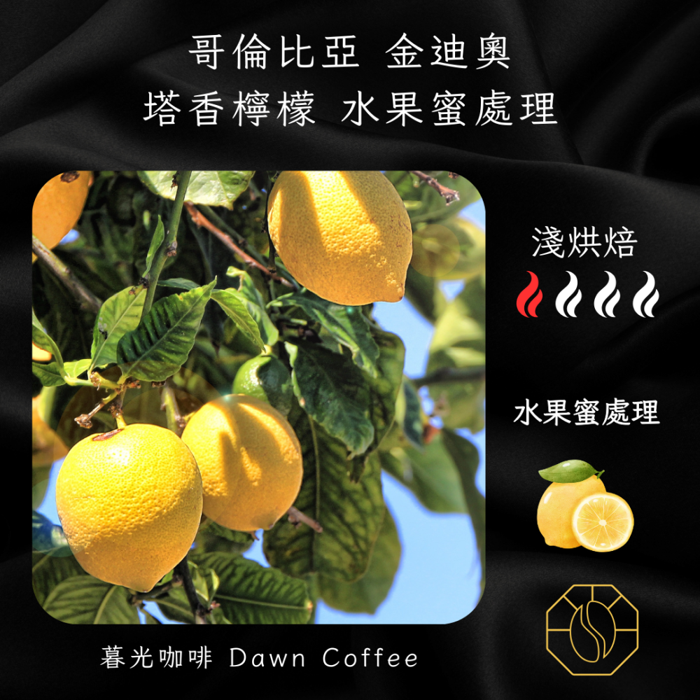 哥倫比亞 金迪奧 塔香檸檬 水果蜜處理
